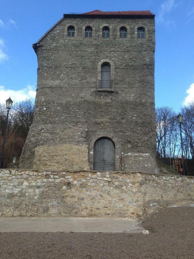 Apartmán Ratstrasse Im Kyffhaeuser - Krumm & Schief Bad Frankenhausen Exteriér fotografie